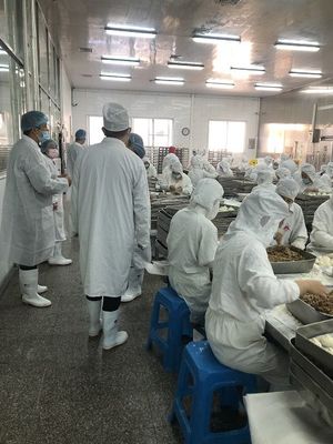 为冬奥会捧出安全可口的“包墩墩”——扬州市场监管部门圆满完成供冬奥食品生产保障任务